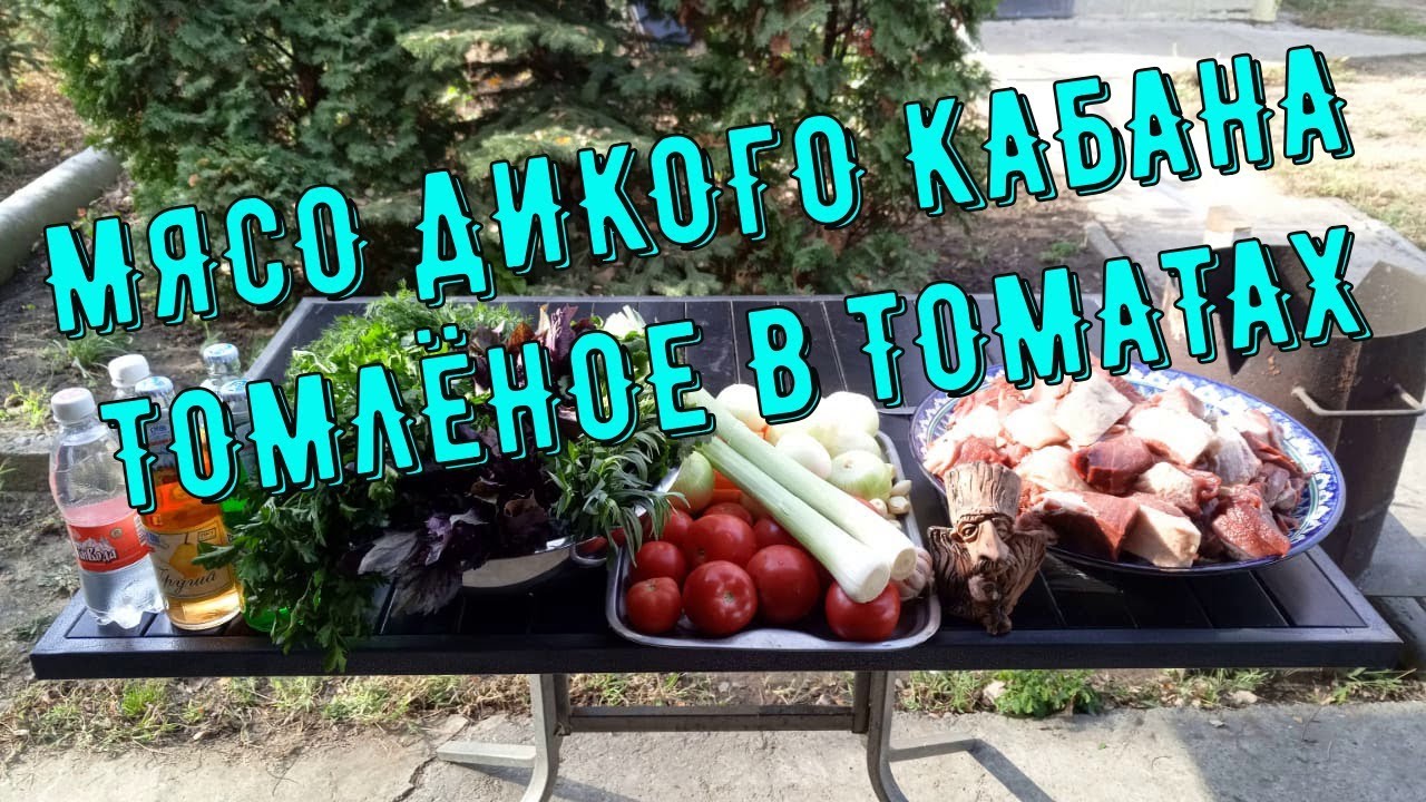 МЯСО ДИКОГО КАБАНА ТОМЛЁНОЕ В ТОМАТАХ.  Рецепт от Кулинар Кавказа.