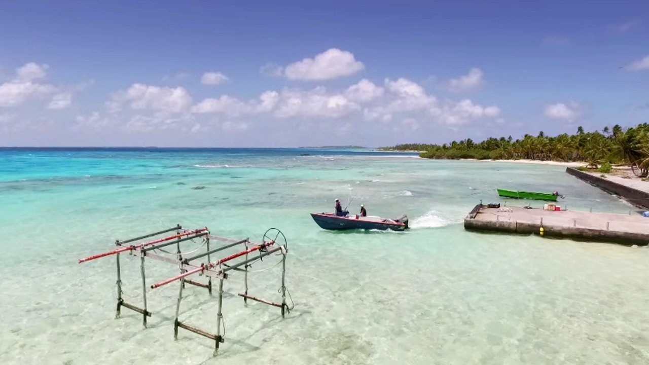 Gastronomie Polynésienne : le thon dans tous ses états