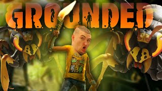 GROUNDED | Щит из черной божьей коровки