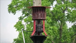 Decot Red Arrow Model 50 Siren Test, 5 PM Blast, Edgerton, WI @Montecat33