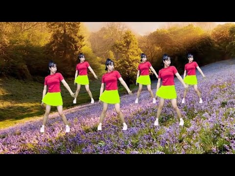时尚动感网红热歌《你是我永远的痛》广场舞