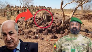 Very, very Urgent: total surprise, Algeria finally tells the truth