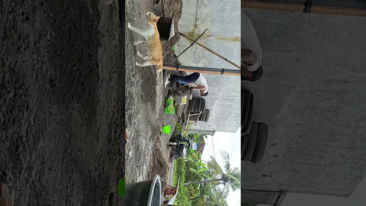 Fat lee Kusuma efendi sedang live sekarang!