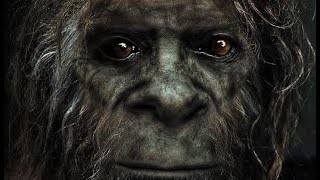 Sasquatch Speaks (Rare Audio Recording)