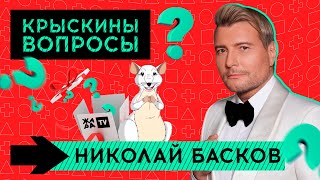 Вопросы От Крыски /// Николай Басков