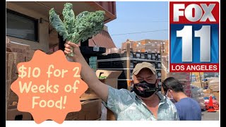 🔥FOX 11 NEWS FILMED OUR FOOD BANK HAUL VIDEO🔥 AT WORLD HARVEST FOOD BANK! We eat for 2 weeks on $10!