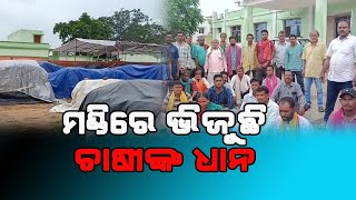 Farmers In Distress Over Mandi Mismanagement & Irregularities In Paddy Procurement In Boudh Dist