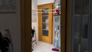 Therian A Que Es Mi Hermana