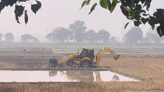 JCB VS BUFFALO 🐃 #viralvideo #viralshort #jcb #viralshort #buffalo