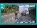 「殺されるかもしれない」あおり運転の恐怖 赤い軽トラックが低速走行→停止→“刀”を持って詰めよる 熊本・宇土市