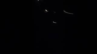 Thunderclap firework