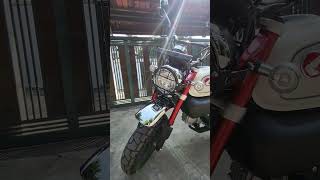 MUST DO UPGRADES for 2023 Honda Monkey 125 (walk-around)