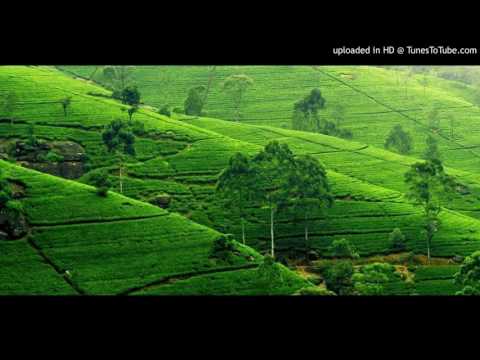 Metaka Sita Oba Ma Gana - Raymond Fonseka video thumbnail