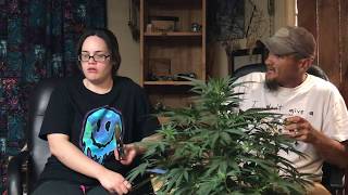 Weed Review: Crouching Tiger Hidden Alien