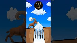 Feel The Power Of Allah