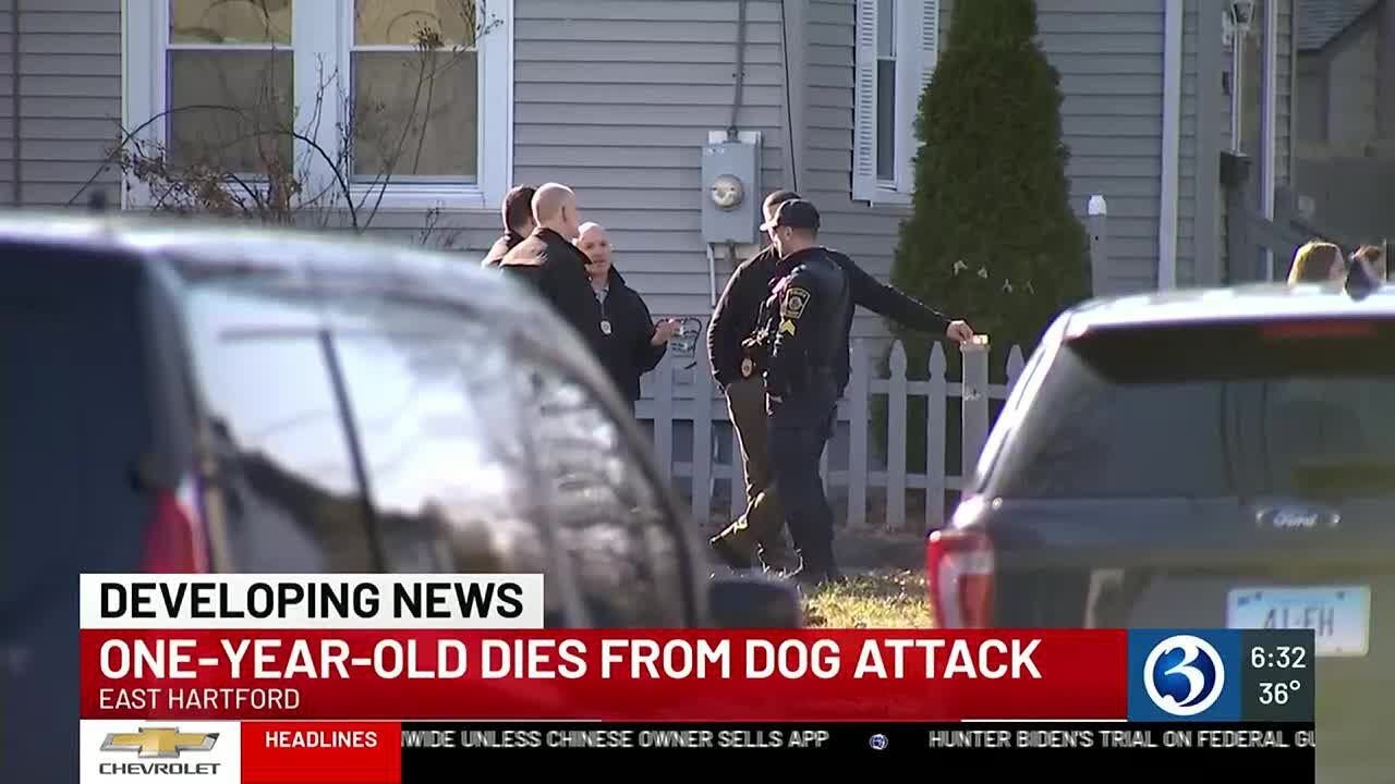 VIDEO: 1-year-old killed in East Hartford dog attack - YouTube