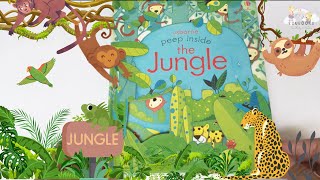 Edubooks - Usborne Peep Inside The Jungle