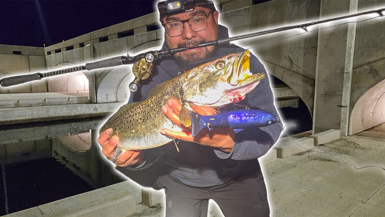 Ночная рыбалка на скользящие приманки на пятнистую форель GATOR!