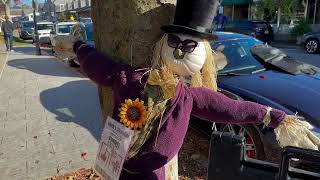Fall in Cape Cod: A Cozy & Scenic New England Escape!
