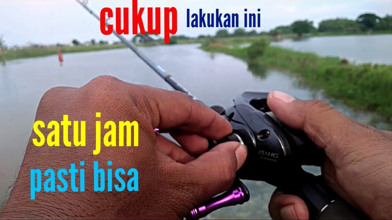 Tutorial Cara menggunakan reel baitcasting I cara mudah menggunakan reel bc