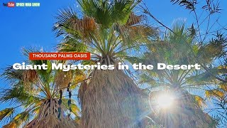 Mystical Desert Thousand Palms Oasis Preserve: Explore Stunning Coachella Valley | Space Nina Show