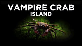 Vampire Crab Island - Aquascaping Paludarium with a Waterfall