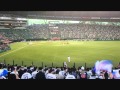 出塁・進塁のテーマ【東京ヤクルトスワローズ】