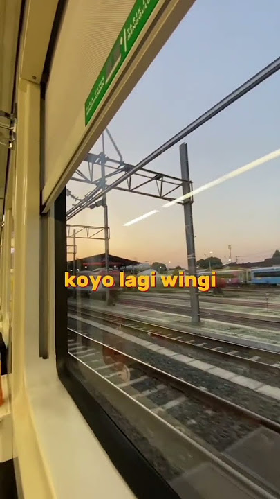 klebus x Dumes GUYON WATON