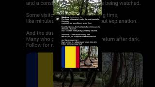The most haunted forest in the world!