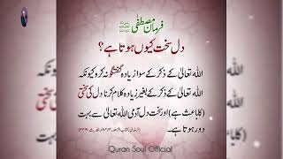 Soft Hearts Through Dhikr of Allah ❤️ | Beautiful Hadith Reminder | Quran Soul Official  screenshot 3