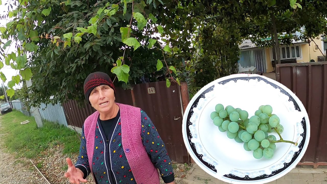 Una signora mi ha offerto dell'uva in un villaggio 🇷🇴