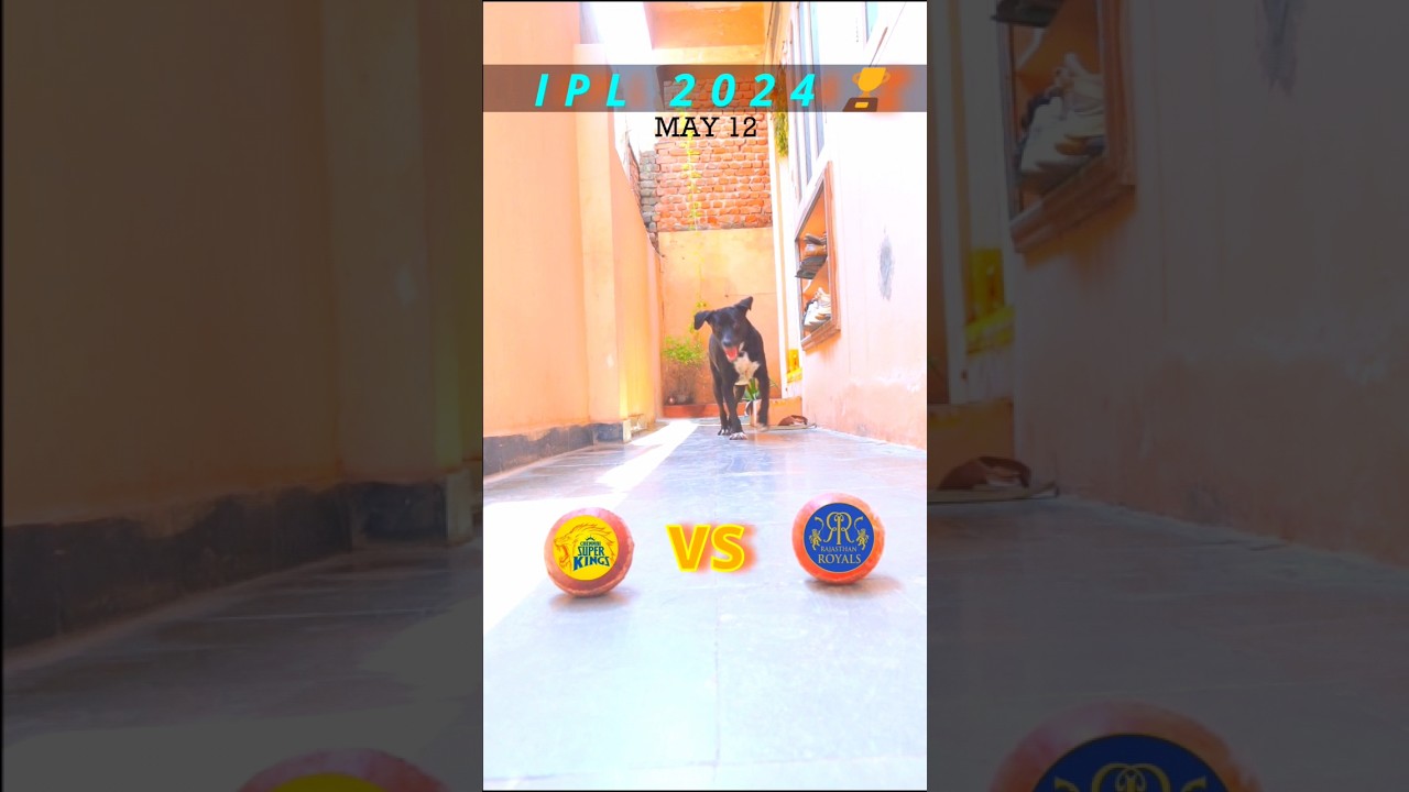 CSK VS RR MATCH PREDICTION | IPL 2024 | MATCH NO.61 | 