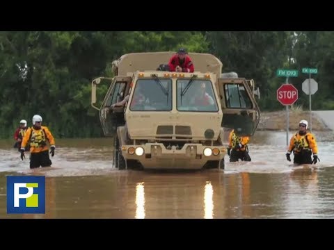 Video: El huracán Harvey ha desplazado a cientos de mascotas