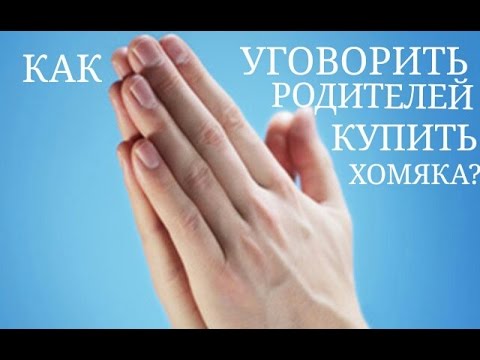 Как Уговорить Родителей Купить Игровой Ноутбук