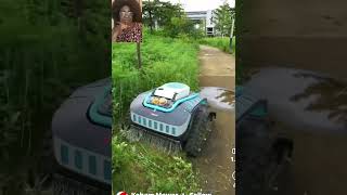 Swift and fierce grass cutter