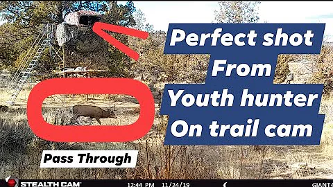 BEST TRAIL CAM VIDEO - 4K (Big Buck Down)