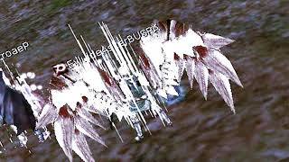 Cruelpich Tomaseloymartinez Ws Maythebestmanwin Rev0Lt 18-3 -59.Net