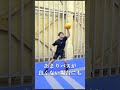 試合で決めるディップ動作 #バスケ #basketball #ミニバス