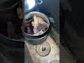 A última Vez Que Comi Isso Eu Era Criança… Tinha Até Esquecido o Sabor!