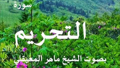سورة التحريم بصوت الشيخ / ماهر المعيقلي 66