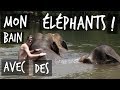 MON BAIN AVEC DES ÉLÉPHANTS ! VLOG THAÏLANDE - TOOPET