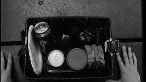 Sight and Sound Parallel Action