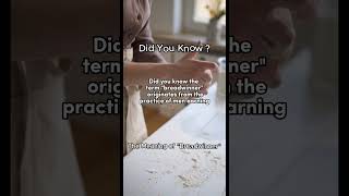 The Meaning Of Breadwinner