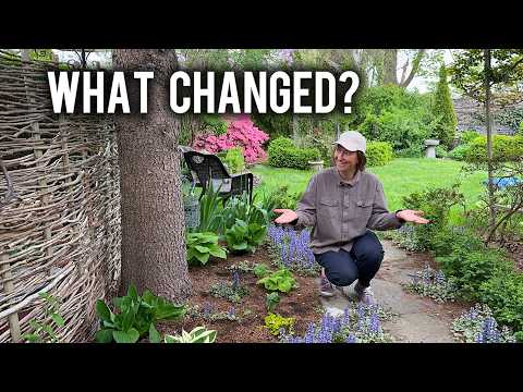 You've Seen This Garden Corner Before...But NOT Like THIS!