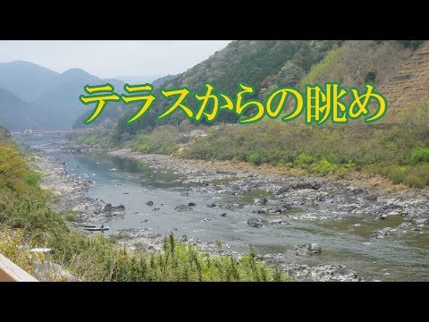 夏休み 旅行 子連れ 四国