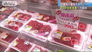 牛豚肉の関税大幅引き下げへ　TPPで国内調整本格化(15/02/04)