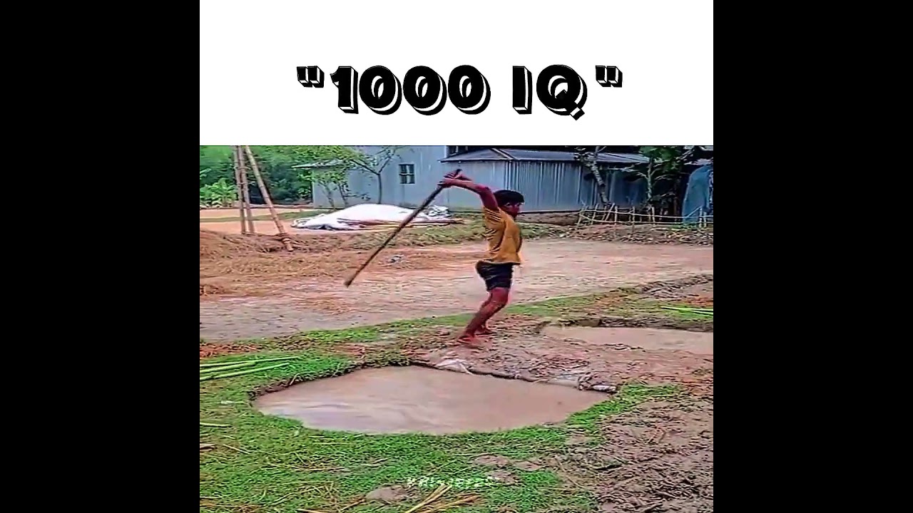 1000 IQ Moments... 