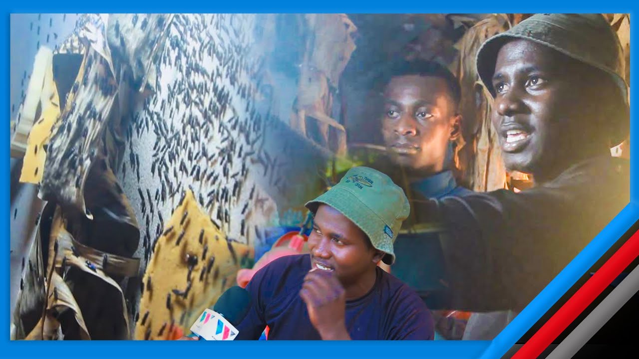 #EXCLUSIVE: KIJANA ANAYEFUGA NZI NYUMBANI KWAKE, AELEZA FAIDA YAKE - 