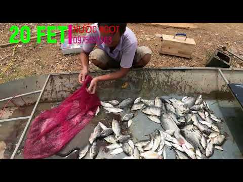 Video 20 FET |NƯỚC NGỌT |Kích Cá | Xiệt CÁ | Xiệt điện nc... - youtube