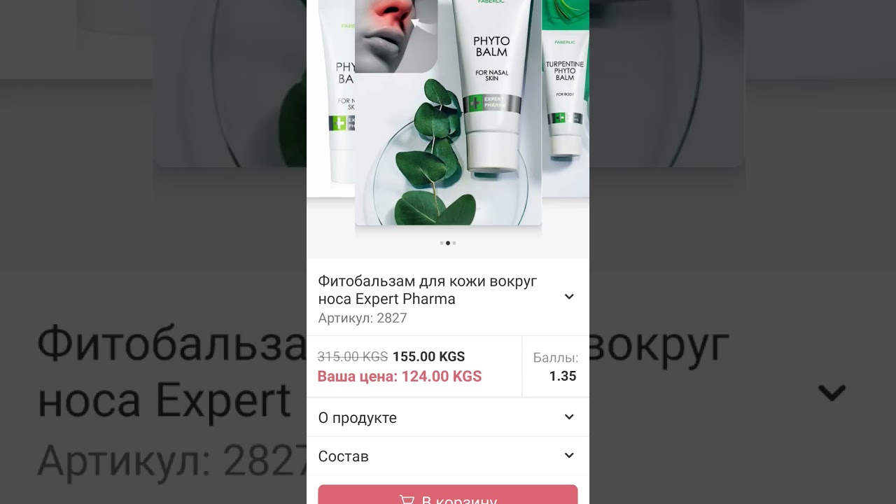 24 декабря 2024 г.